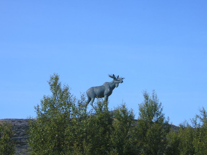 Nordkap 2009 505.jpg